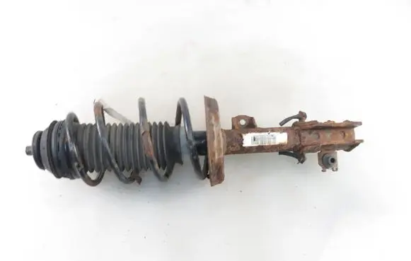 Fiat Punto (199) Front shock absorber with coil spring 