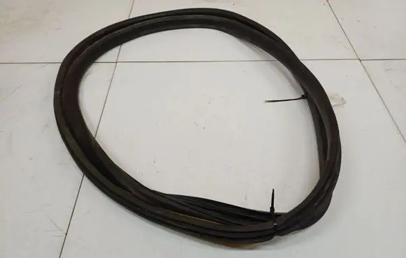 Renault Scenic III - Grand scenic III Rubber seal front coupe door