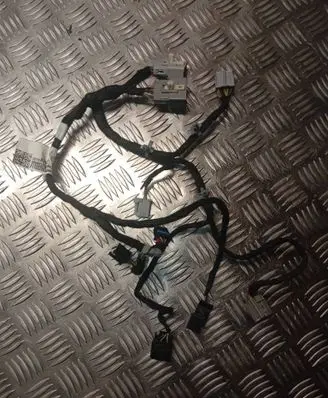 Chevrolet Corvette C7 Front door wiring loom 800601070000 816509533