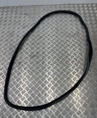 BMW 3 G20 G21 Front door rubber seal 7407373