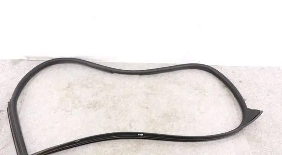 BMW M6 Front door rubber seal 7008581 51767008581 1844106