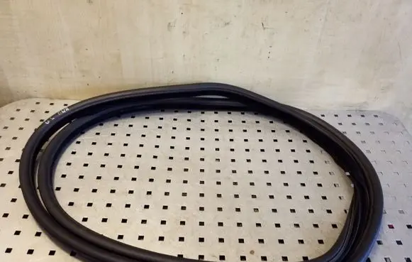 Rear door rubber seal (on body)