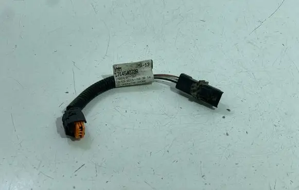 Other wiring loom