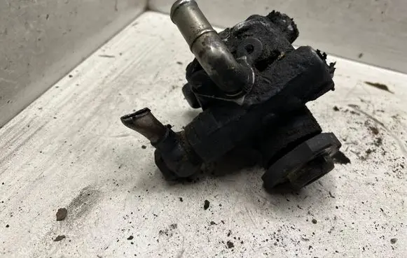 Volkswagen Golf IV Power steering pump 479154AE9
