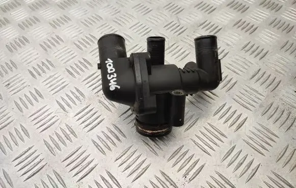Thermostat/thermostat housing