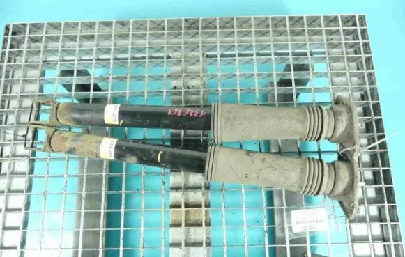 Rear shock absorber/damper