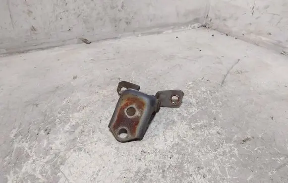 Front door lower hinge