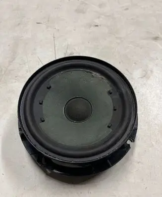Volkswagen PASSAT B7 Front door speaker 