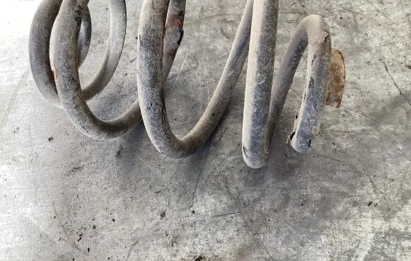 Ford Galaxy Rear coil spring