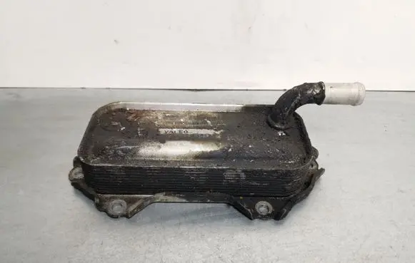 Toyota RAV 4 (XA30) Engine oil radiator 157100R010
