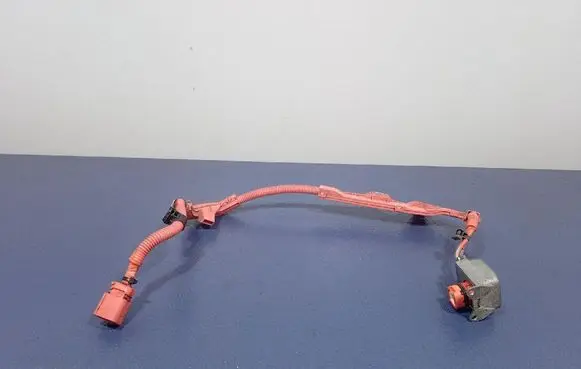 Toyota Camry Other wiring loom 1030-5W