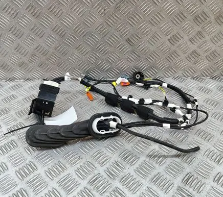Other wiring loom