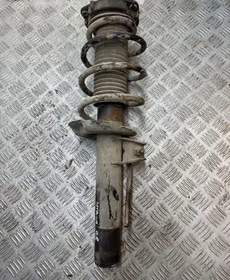 Skoda Octavia Mk2 (1Z) Front shock absorber/damper 