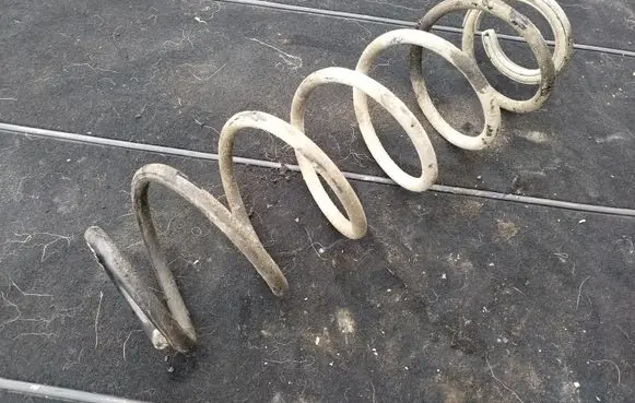Renault Laguna II Rear coil spring