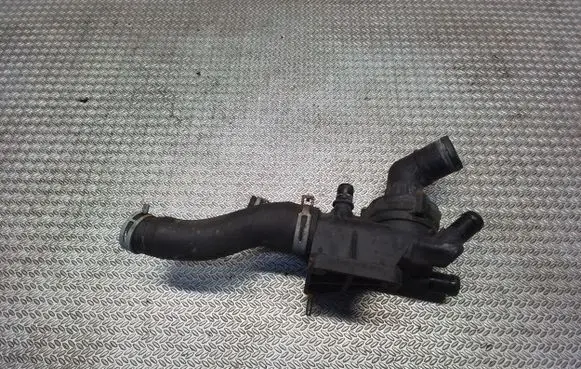 Thermostat/thermostat housing