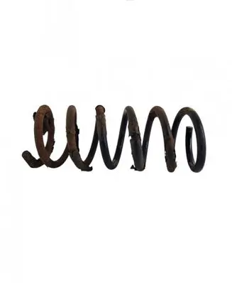 Rear coil spring