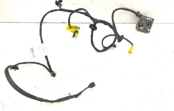 Renault Laguna III Other wiring loom 7701054980 52669801
