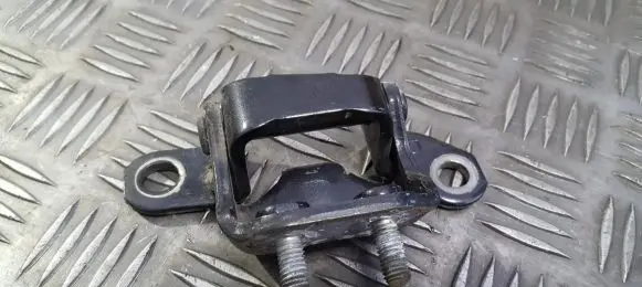 Tailgate/trunk/boot hinge