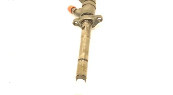 Citroen C4 I Fuel injector 0445110239