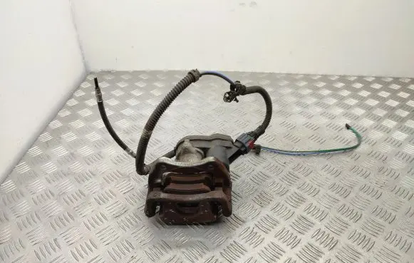 Renault Zoe Rear brake caliper 440002496R