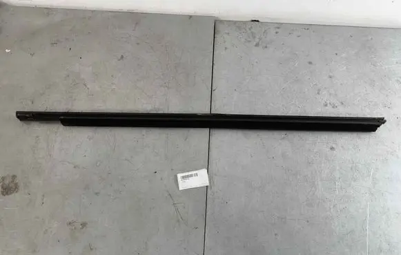 Ram 1500 Front door glass trim molding 69285862ad