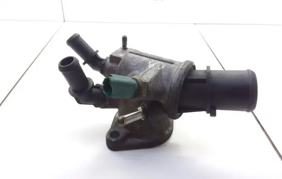 Thermostat/thermostat housing