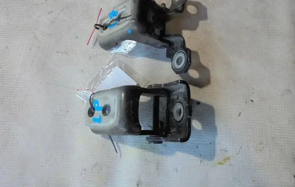 Renault Clio IV Front door hinge set 