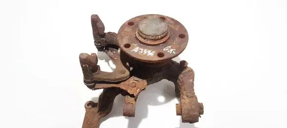 Skoda Octavia Mk2 (1Z) Rear wheel hub didzioji