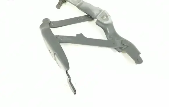 BMW Z4 E89 Engine bonnet/hood hinges 7191511