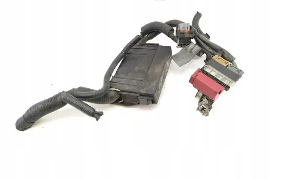 Nissan Juke I F15 Fuse module