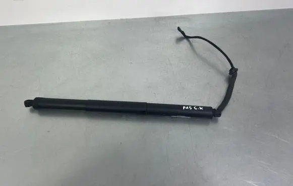 BMW X5 F15 Tailgate/trunk strut/damper 7294469