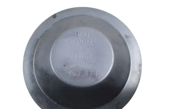 Volkswagen PASSAT B6 Headlight/headlamp dust cover 153873