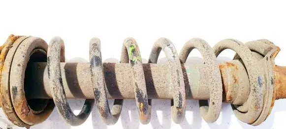 Rear coil spring