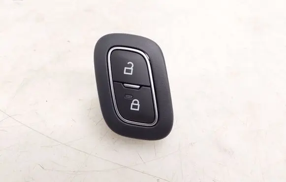 Ford Mustang Mach-E Central locking switch button F1ET14017BB