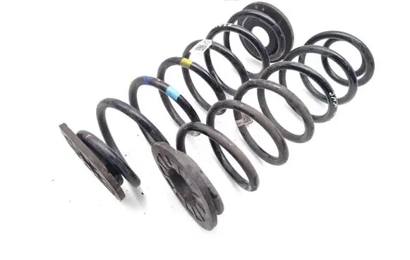Rear coil spring