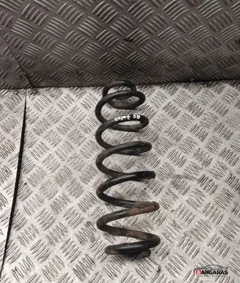 Rear coil spring