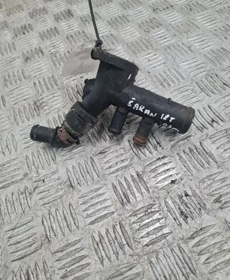 Thermostat/thermostat housing
