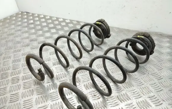 Renault Laguna III Rear coil spring
