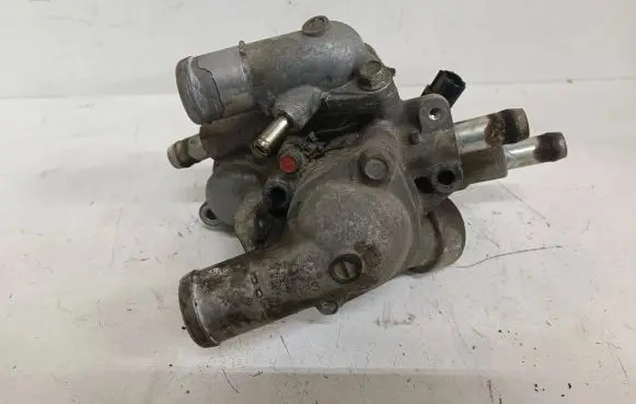 Thermostat/thermostat housing