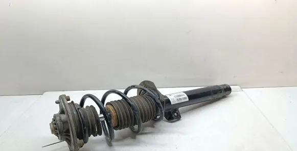 BMW 3 GT F34 Front shock absorber with coil spring 6873773 31316873773