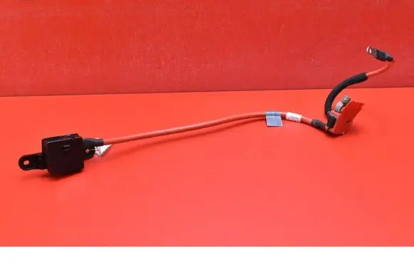 Other wiring loom