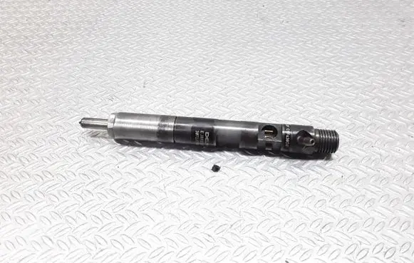 Renault Megane II Fuel injector EJBR03101D