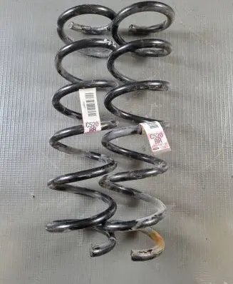 Rear coil spring