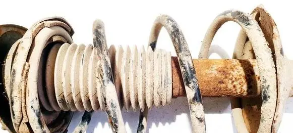 Subaru Forester SG Front coil spring 