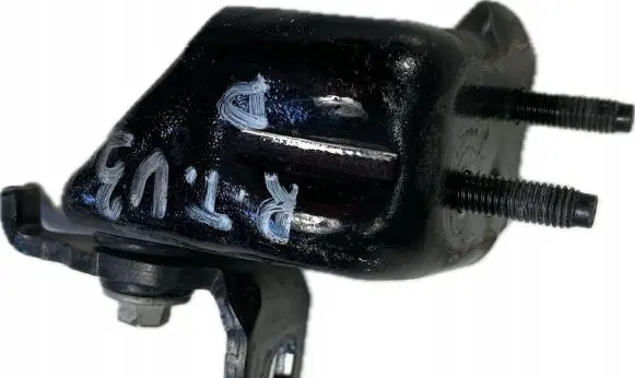 Ford F150 Rear door lower hinge ZDPTD