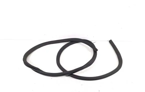 Ford Mach-E I Front door rubber seal LJ8BR20708AD