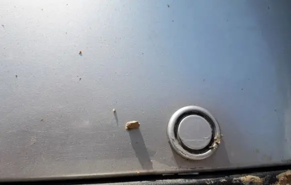 Volkswagen Touareg I Parking PDC sensor