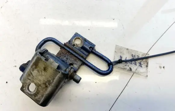 Rear door lower hinge