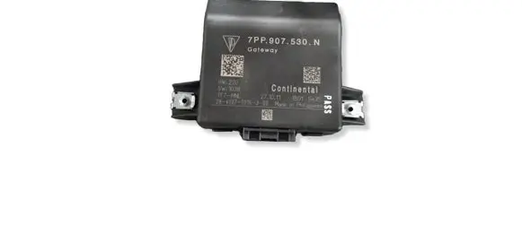 Porsche Cayenne (92A) Gateway control module 7PP907530N
