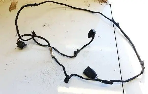 Other wiring loom